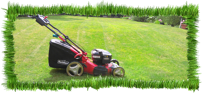 lawn cutting weston super mare