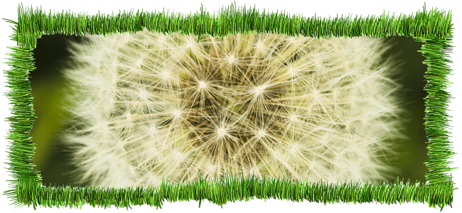 lawn cutting weston super mare